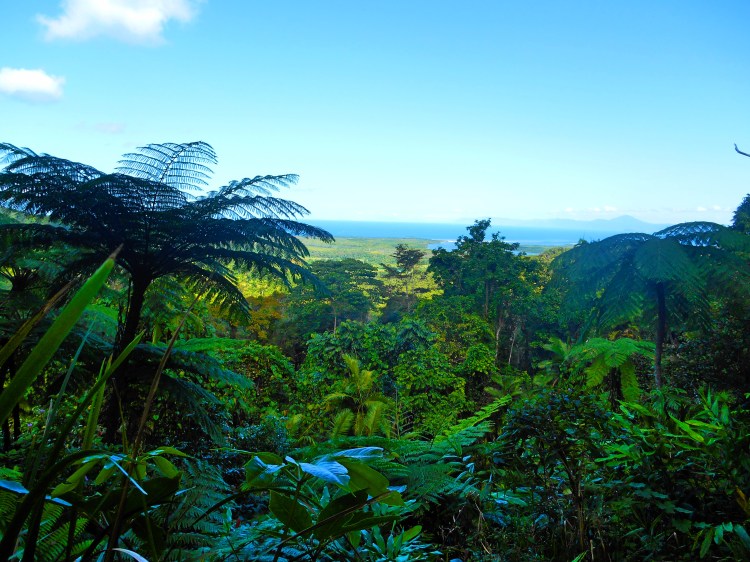 australiadaintrepano