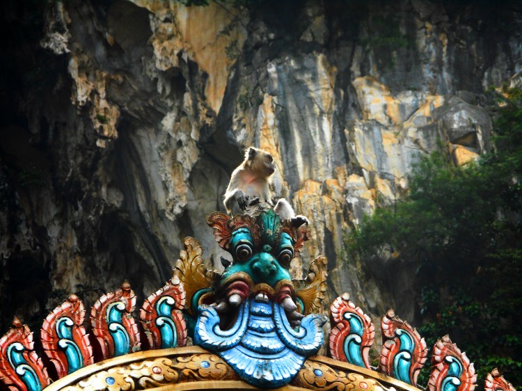 malaysiamonkey.jpg