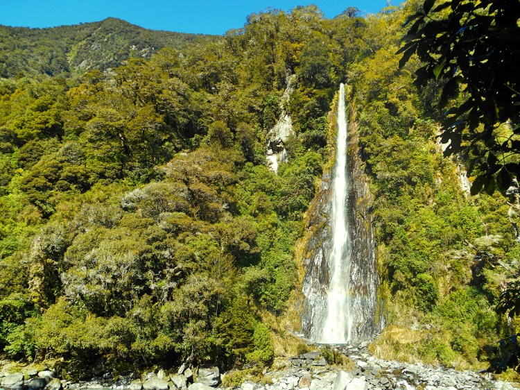 nzfalls