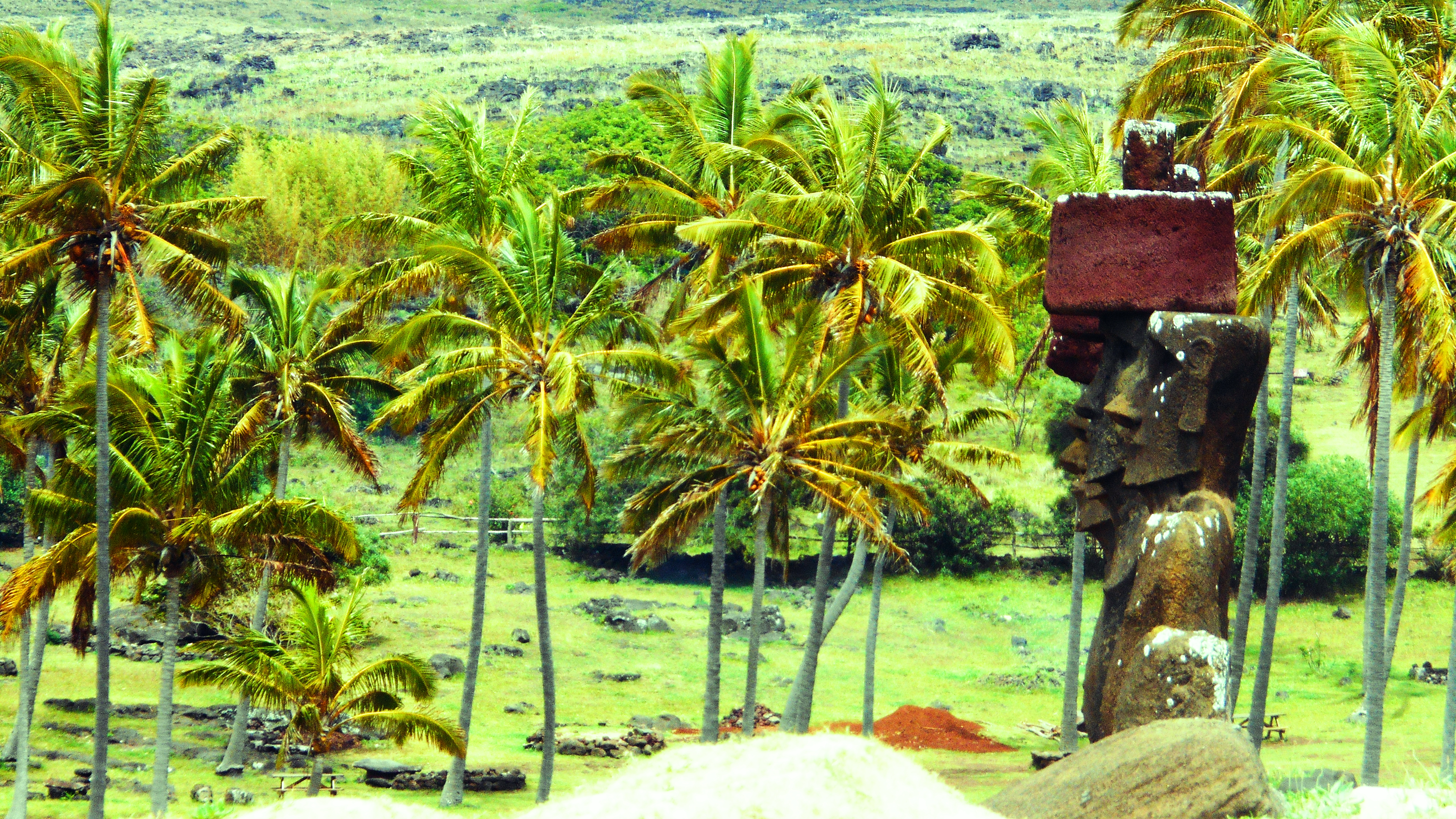 easterisland5